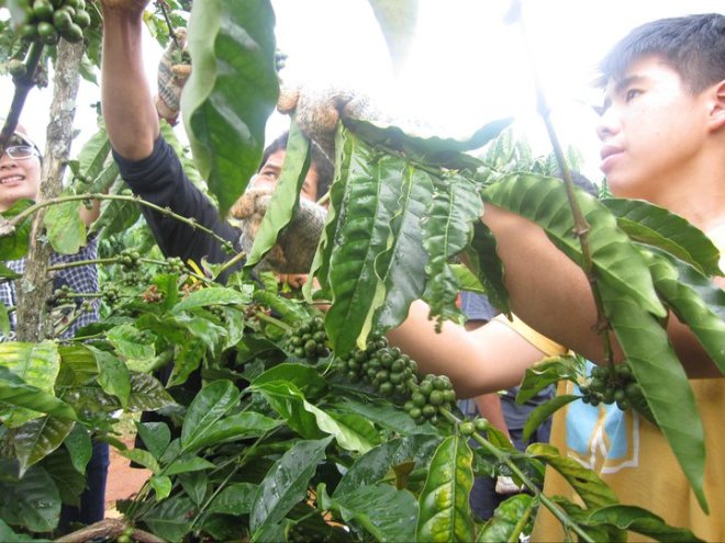 207079_207609065924282_7939655_n